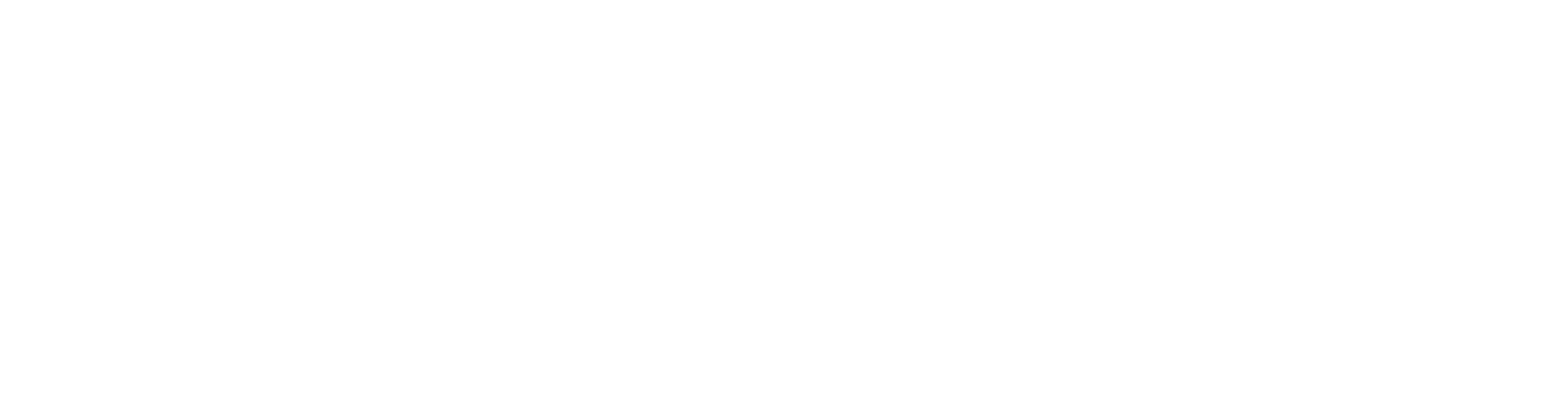 PRO ORGANIZER